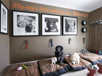 chris-lee-homes-pet-friendly-custom-home-features-dog-room
