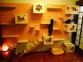 chris-lee-homes-pet-friendly-custom-home-features-cat-room